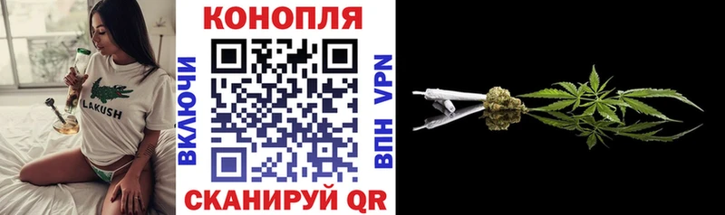Бошки марихуана план Ялуторовск